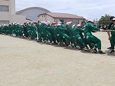 の画像