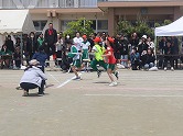 の画像
