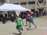 の画像