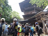 の画像