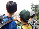 の画像