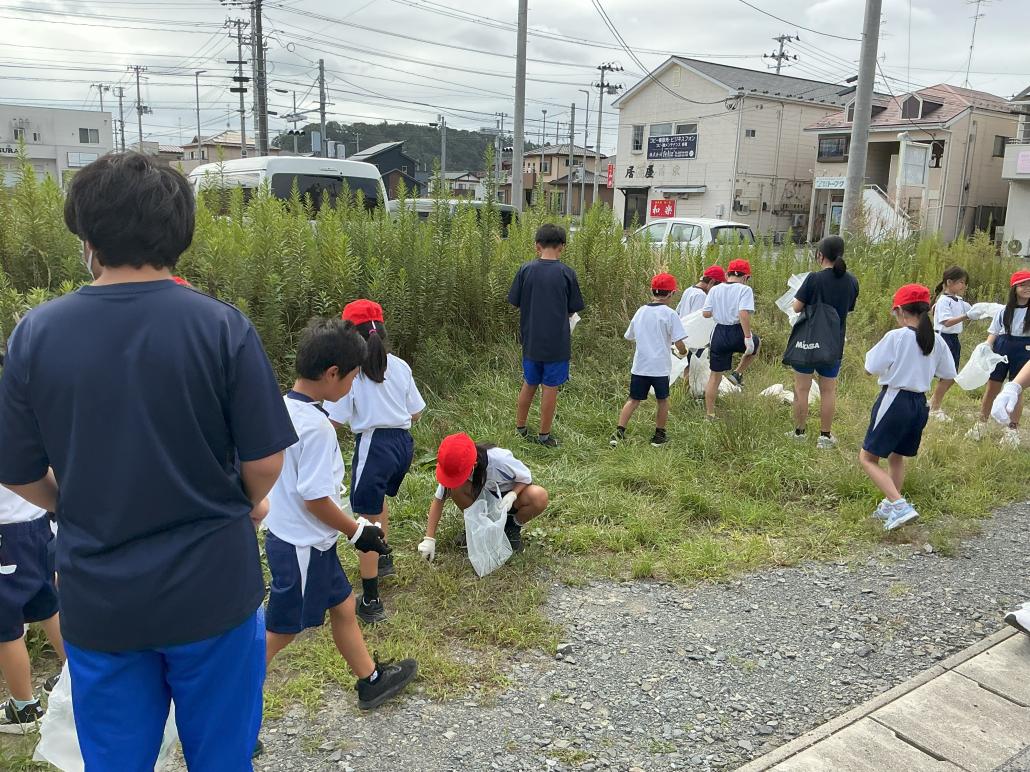 の画像