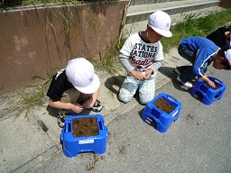 種植え1の画像