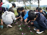 花を植えました2の画像