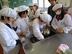 調理実習の様子2の画像