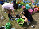 バケツ稲作成の様子1の画像