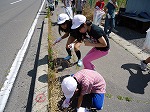 地区清掃の風景2の画像