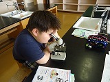 理科の授業の様子1の画像