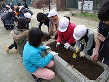 花壇の整備3の画像