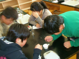 20301200_鹿妻小学校:理科の実験風景1の画像