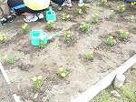 朝の活動6