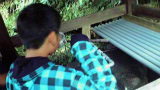 修学旅行2