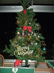 クリスマス3の画像