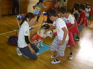 CIMG2930.jpgの画像