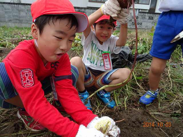 s-DSC06769.jpgの画像