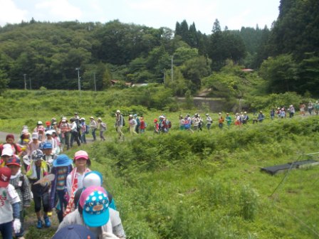 20301300_蛇田小学校:DSCN0615.JPGの画像