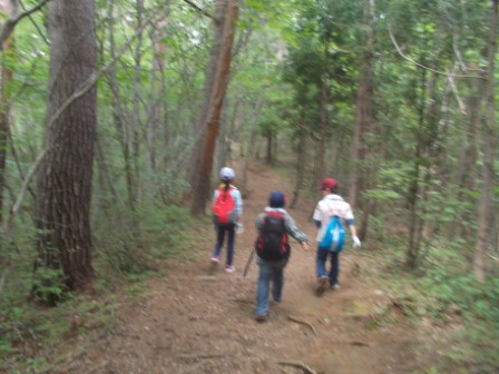 20301300_蛇田小学校:DSCN0622.JPGの画像