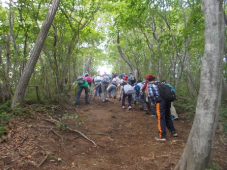 20301300_蛇田小学校:DSCN0631.JPGの画像