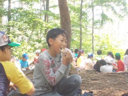20301300_蛇田小学校:DSCN0634.JPGの画像