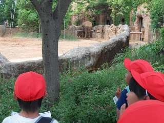 DSCN2488.jpgの画像