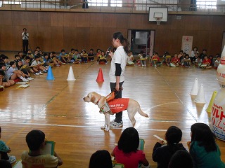DSCN2752.jpgの画像
