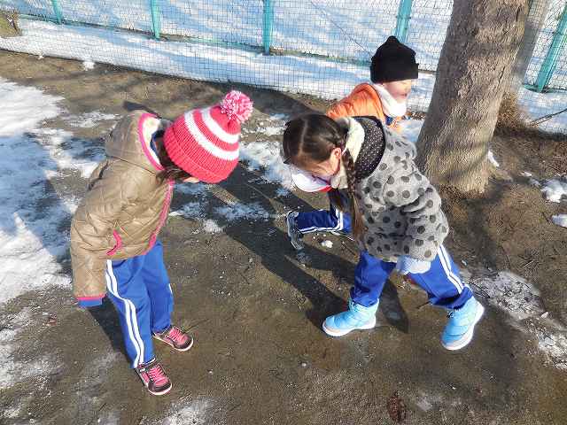 20301300_蛇田小学校:s-DSC06783.jpgの画像