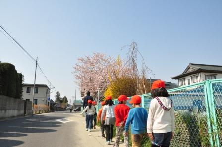 20301300_蛇田小学校:DSC_2969.JPGの画像