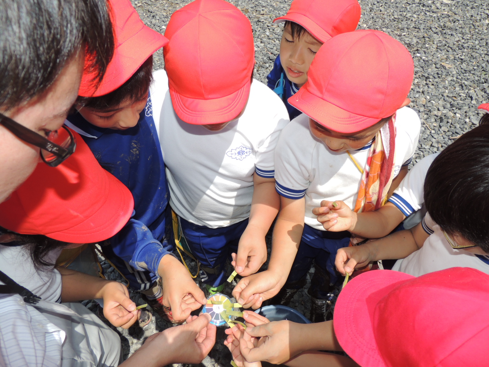 20301300_蛇田小学校:HP8.JPGの画像