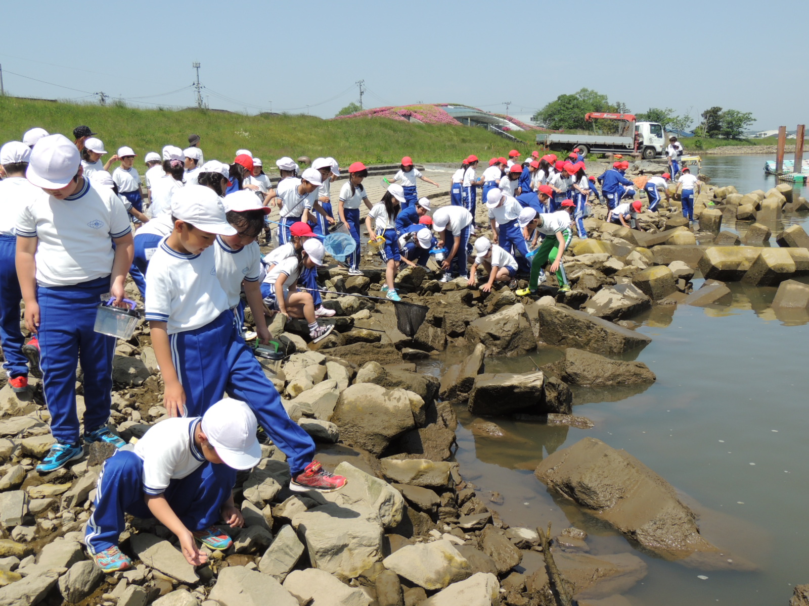 20301300_蛇田小学校:HP9.JPGの画像