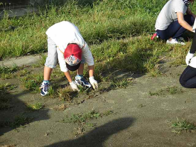 IMG_0069.jpgの画像