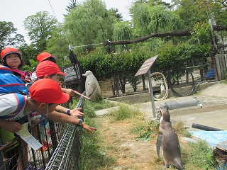 IMG_0456.jpgの画像