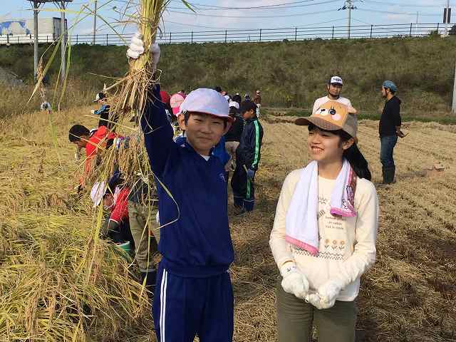 20301300_蛇田小学校:IMG_1101.JPGの画像