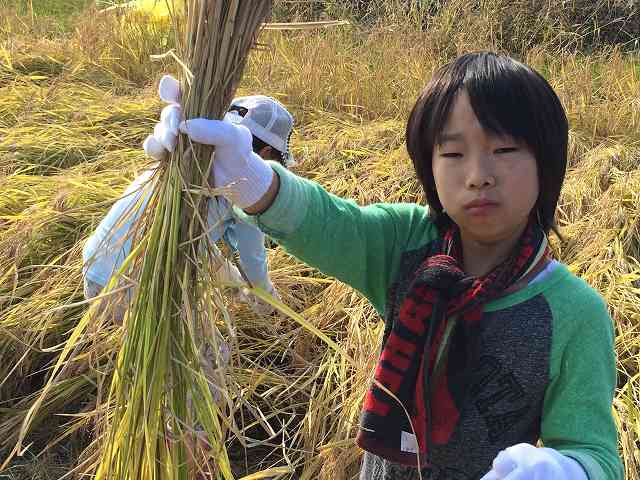 20301300_蛇田小学校:IMG_1111.JPGの画像