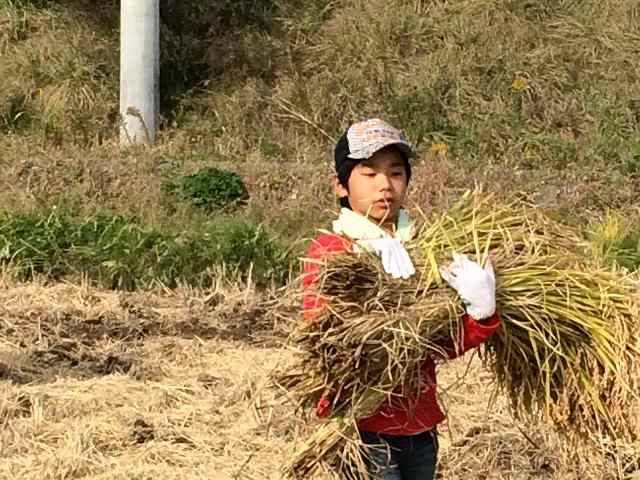 20301300_蛇田小学校:IMG_1114.JPGの画像