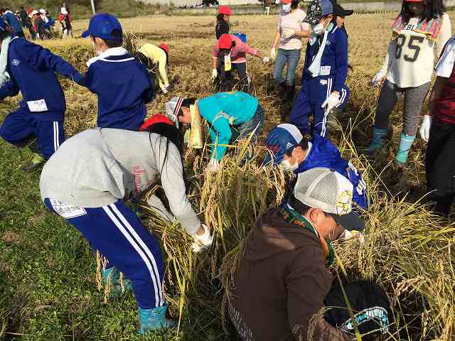 20301300_蛇田小学校:IMG_1125.JPGの画像