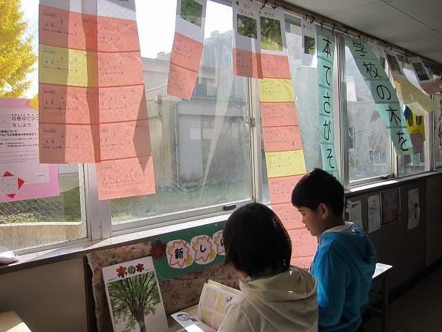 20301300_蛇田小学校:DSC_2974.JPGの画像