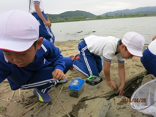 IMG_7329.jpgの画像