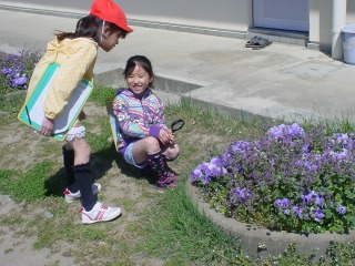 s-DSC06644.jpgの画像