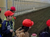 s-DSC07787.jpgの画像