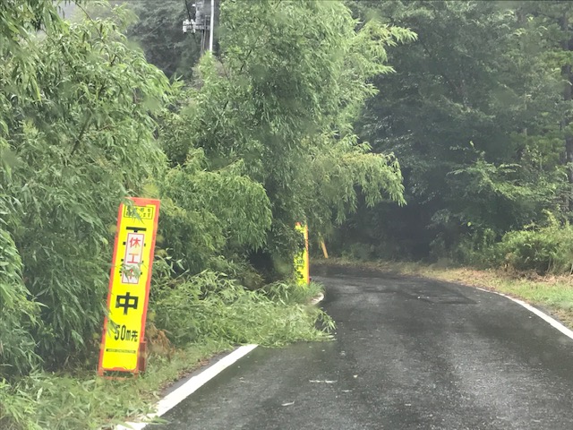 の画像