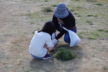 奉仕作業5月の画像