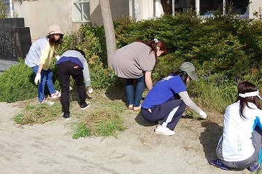 奉仕作業5月の画像