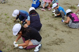 kusatori93.jpgの画像