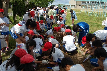 緑化活動6月の画像