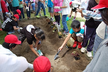 緑化活動6月の画像