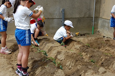 緑化活動6月の画像