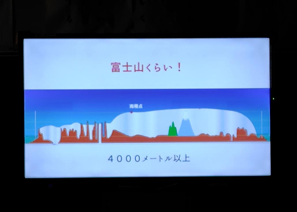 241213095300688.JPG