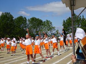 DSC04354.JPG