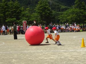 DSC04371.JPG