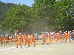 DSC04410.JPG